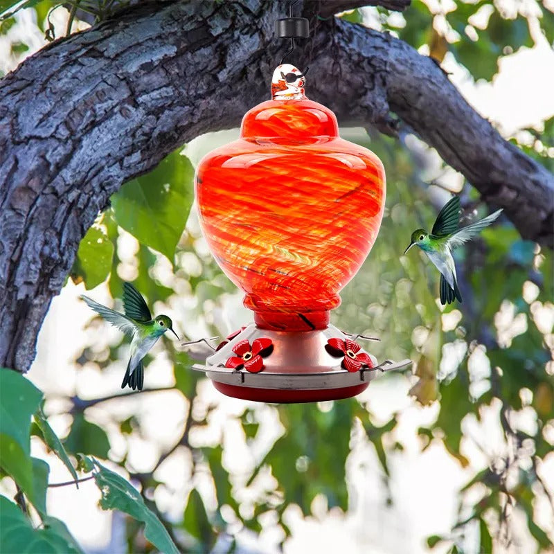 Glosrity Hand Blown Glass Hummingbird Feeder - 38 Ounces